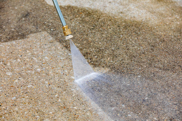 Best Animal Enclosure Cleaning  in Seymour, IN